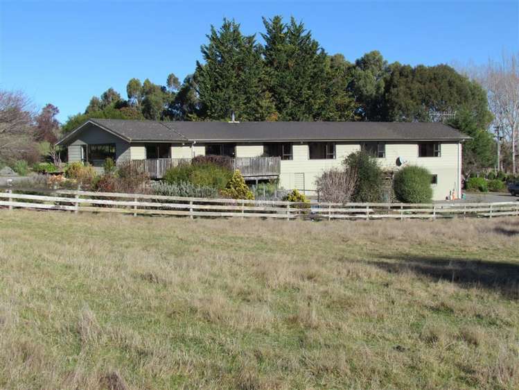 164 Ward Road Cheviot_1