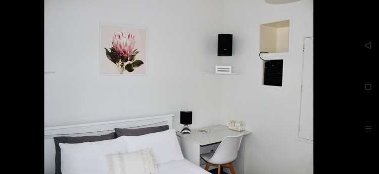 4 Cecil Road Wadestown_8