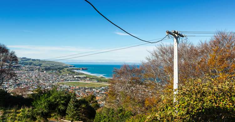 105 Middleton Road Corstorphine_18