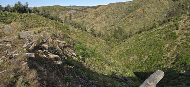 Junction Road Stratford_16