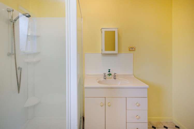 2/293 Ruahine Street Terrace End_8