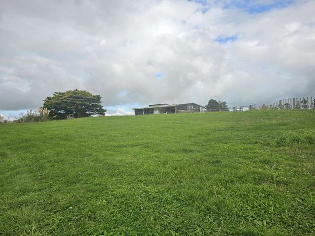 Lot Lot 2/675 Gorge Road Maungaturoto_1