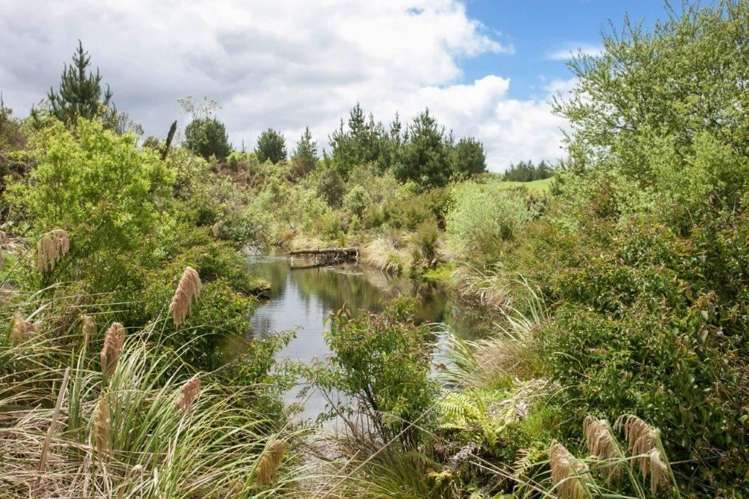 1308 Mossop Road Kinleith_20