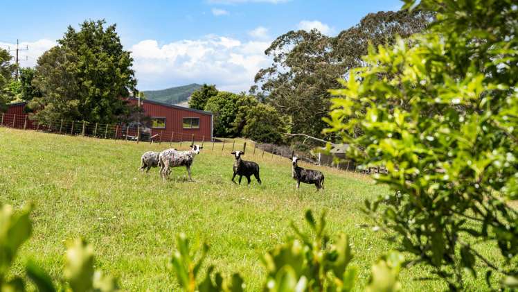 780 Island Block Road Te Kauwhata_24