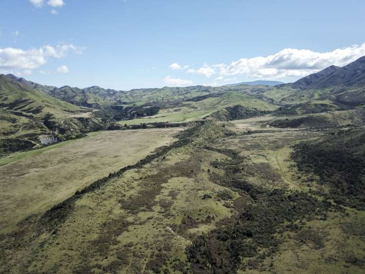 496 Haldons Road Seddon_5