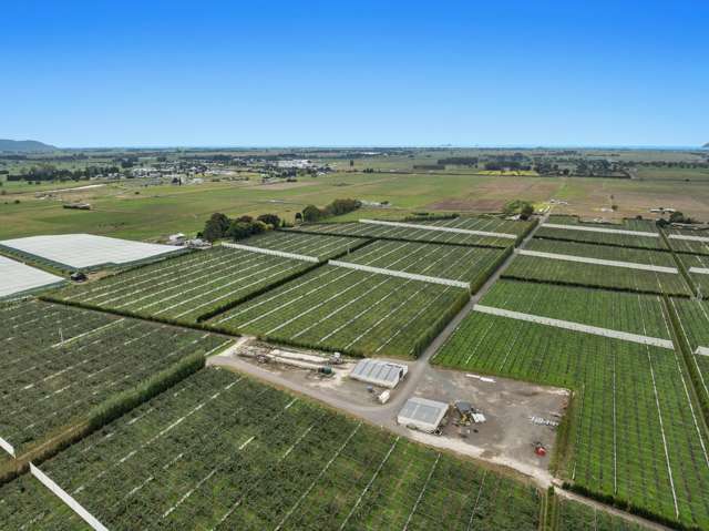 34 Puti Kaewa Lane Edgecumbe_2