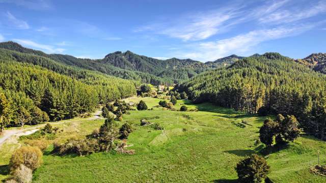 Okaihae Road Taumarunui_1