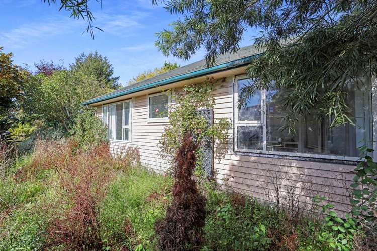 6 Rogers Street Hinds_28