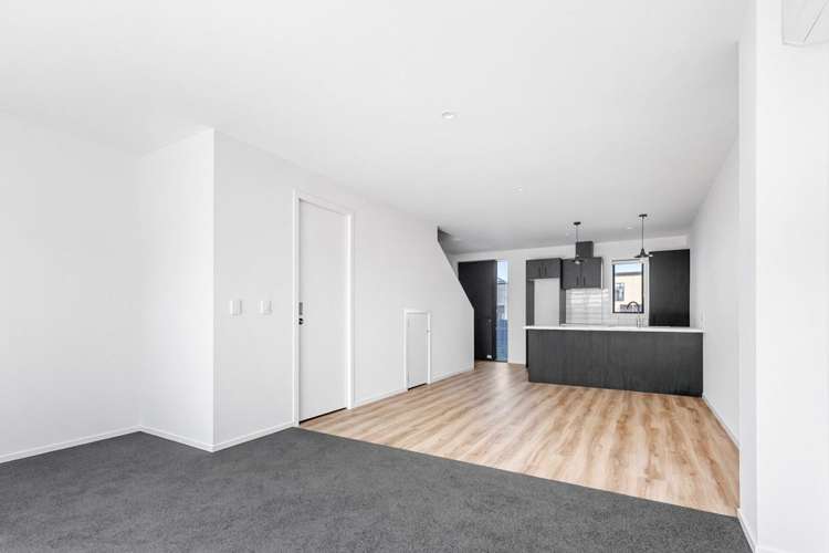 61 Pipi Place Levin_1