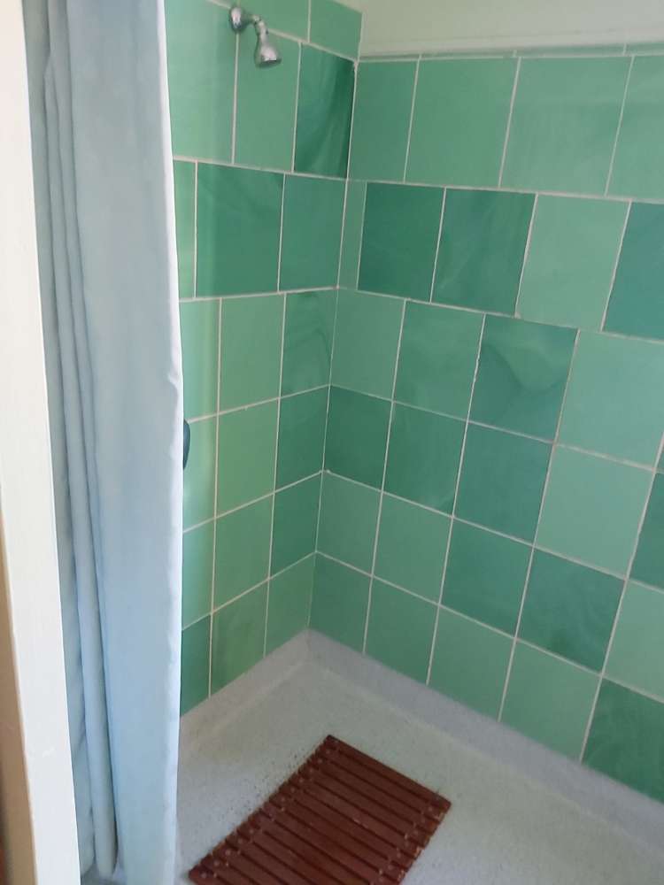 15 Ellis Road Benneydale_11