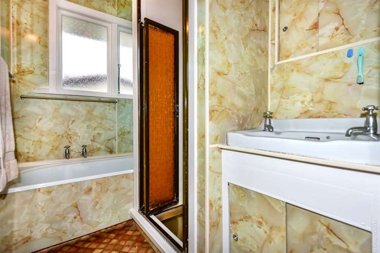 47 Emlyn Place Avondale_10