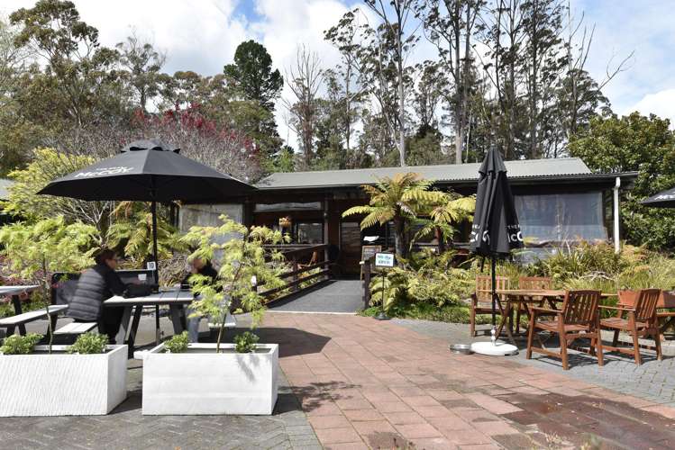 147 Sala Street Fenton Park_14