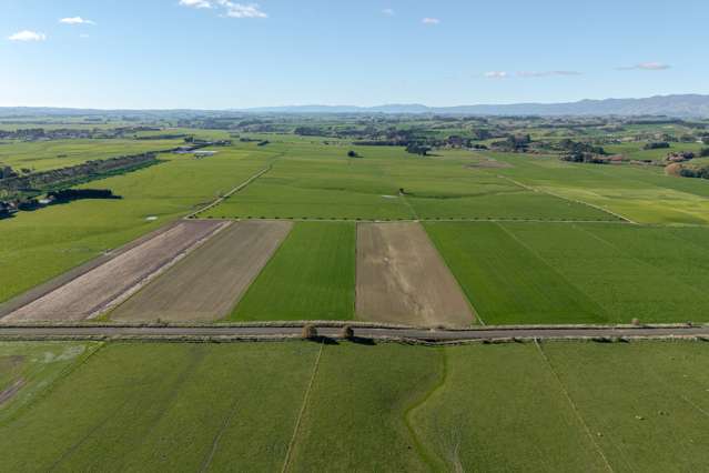 325 Reid Line East Bunnythorpe_4