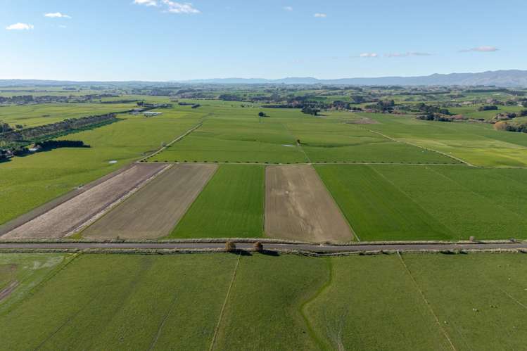 325 Reid Line East Bunnythorpe_4