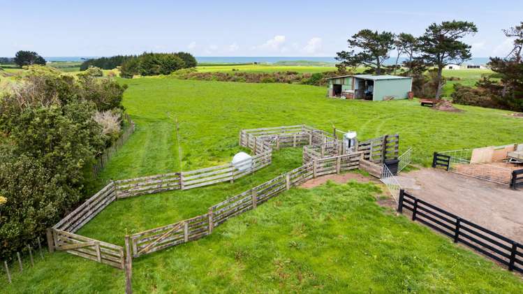 53 Muggeridge Road Manutahi_40