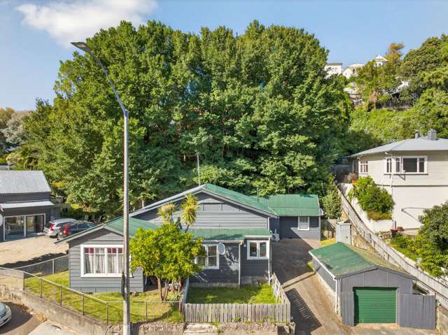 80 Shakespeare Road Bluff Hill_3