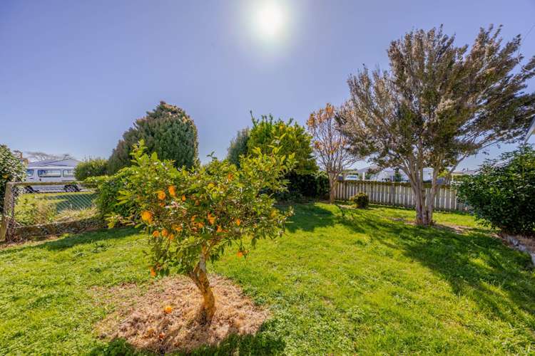 10 Oxford Street Taradale_13