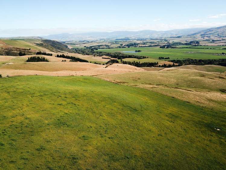 207 Tondros Road Fairlie_16