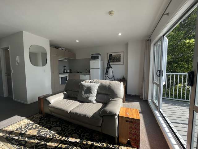 4M/3 Keystone Avenue Mount Roskill_1