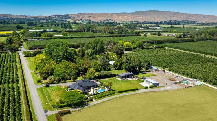 77 Algernon Road Longlands_22