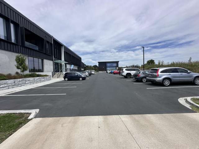230 Seventeenth Avenue Tauranga_1