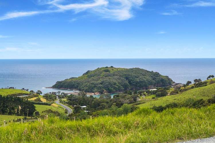 26 Cape Rodney Road Leigh_11