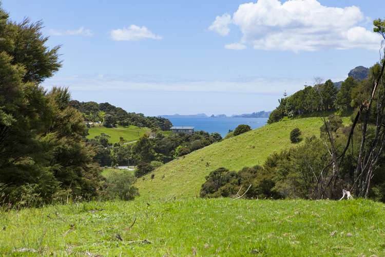 Lot 2 & 3/1032 Taupo Bay Road Taupo Bay_1