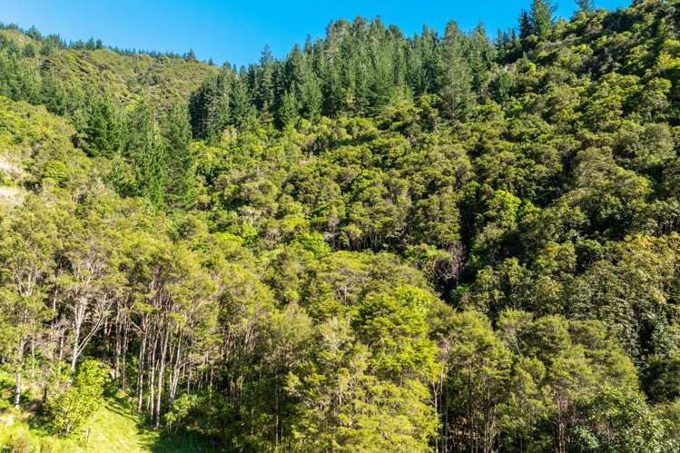 793 Waikakaho Road Tua Marina_14