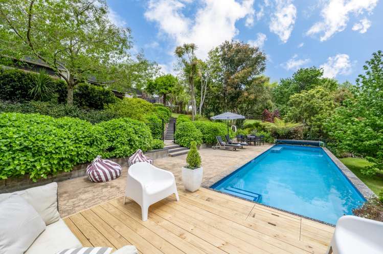 18 Ara-Kotinga Whitford_24