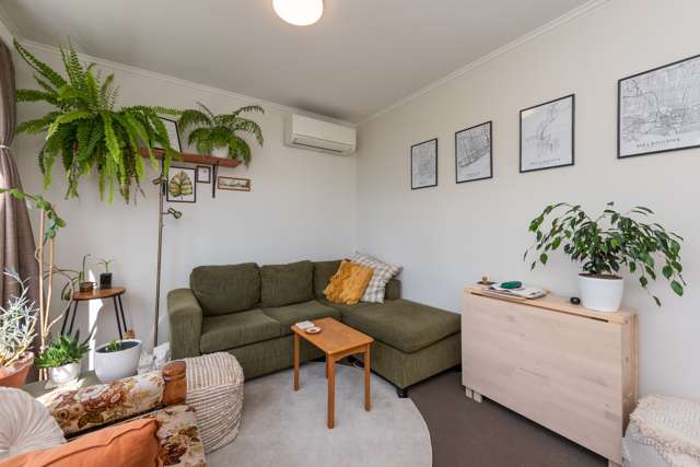 11 Mount Pleasant Road Aro Valley_4