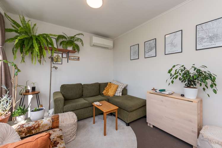 11 Mount Pleasant Road Aro Valley_4