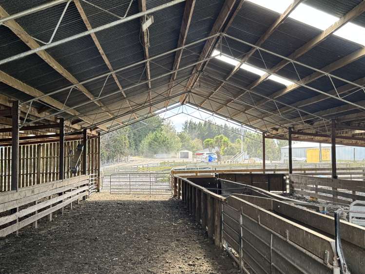174 McCulloch Road Awamangu_21