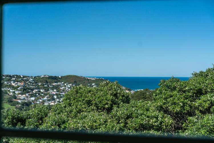 15a Hoggard Street Vogeltown_6