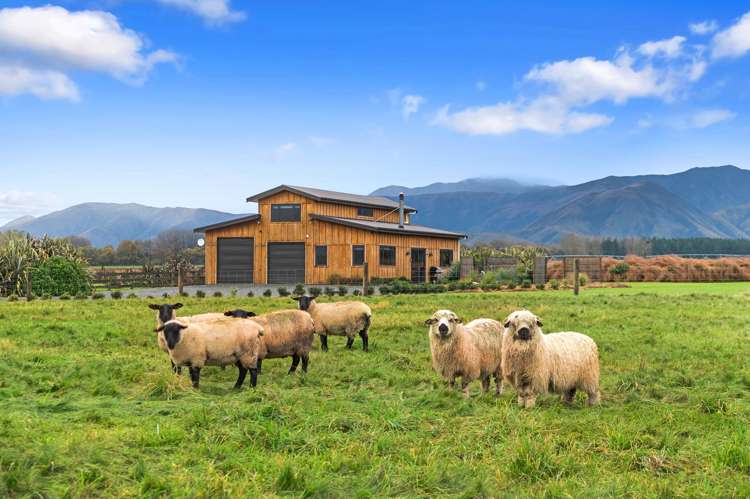 1375 Clayton Road Fairlie_18