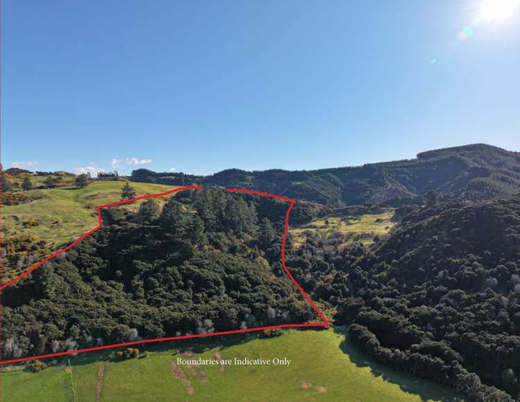 121 Silverstream Valley Road North Taieri_13