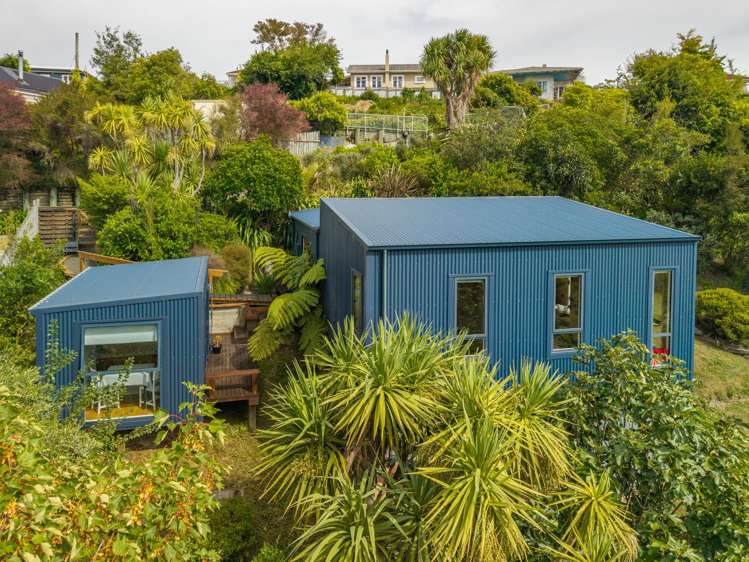 243 Saint Vincent Street Toi Toi_2