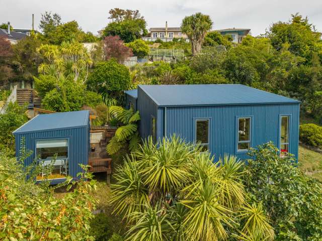 243 Saint Vincent Street Toi Toi_3