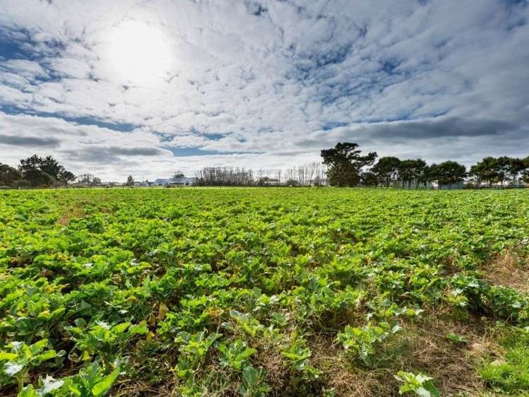 23 Hawkestone Road Marton_2