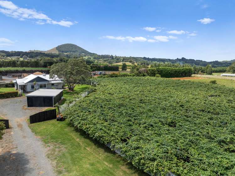 988 Otaika Valley Rd Maungatapere_18