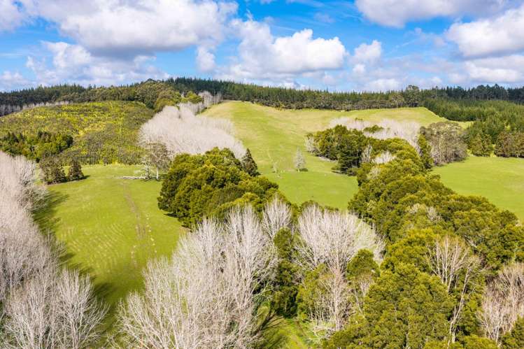 229 Bald Hill Road Waitoki_31