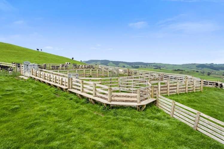 500 Tahuroa Road Tauwhare_23