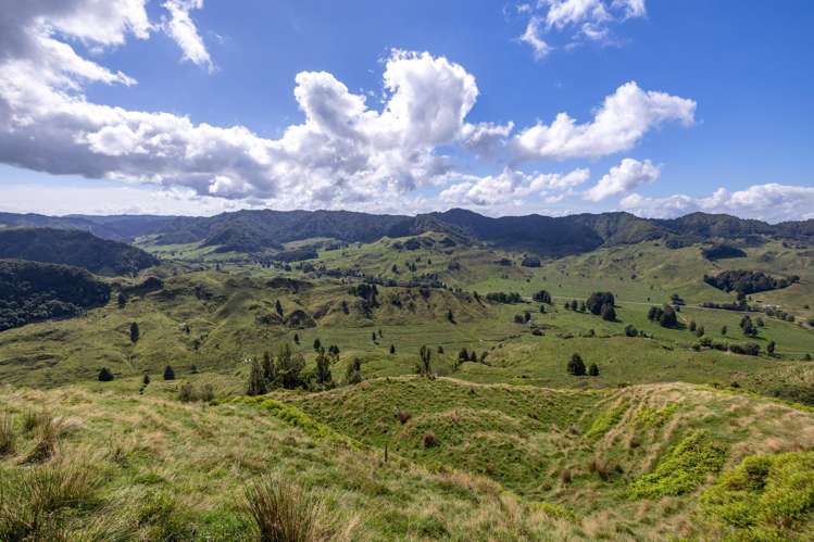 1221 Waitewhena Road Taumarunui_34