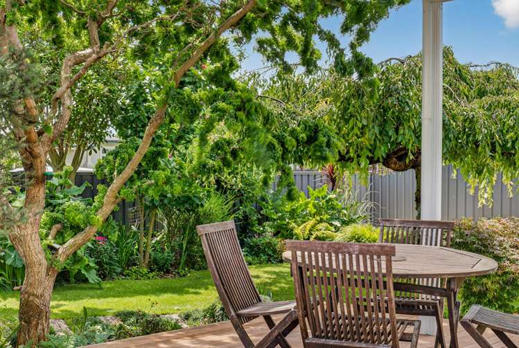 419 Brunswick Street St Leonards_10