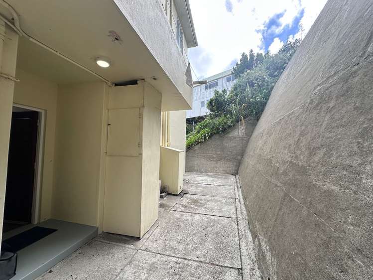 3/20 St Michaels Crescent Kelburn_16