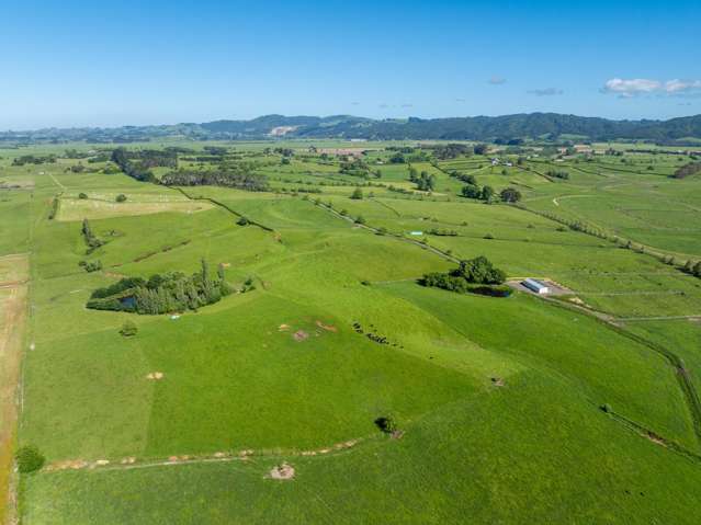 774 Koheroa Road Mercer_2