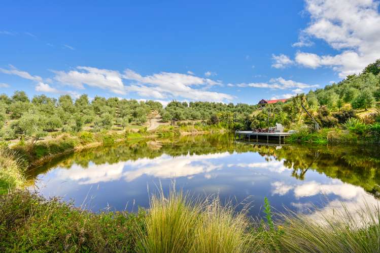 598 Neudorf Road Upper Moutere_1