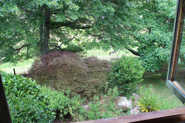 895 State Highway 25 Waitakaruru_19