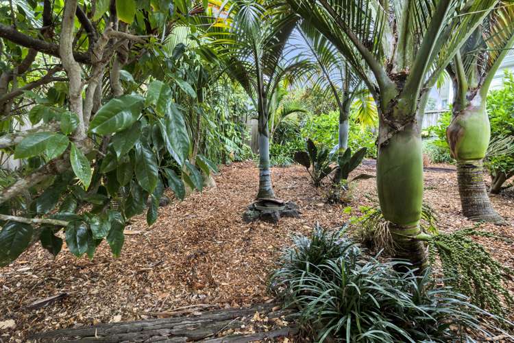 31 Robbies Road Cockle Bay_19