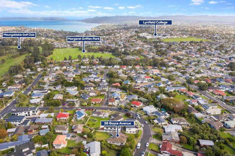 38 Boyce Avenue Mount Roskill_13