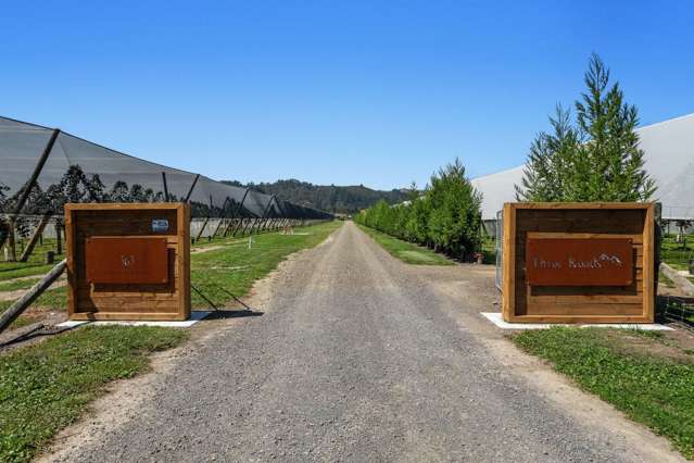 565 Western Drain Road Edgecumbe_1